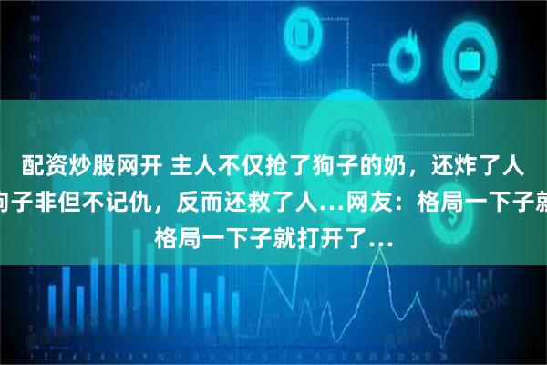 配资炒股网开 主人不仅抢了狗子的奶，还炸了人家盆，但狗子非但不记仇，反而还救了人…网友：格局一下子就打开了…