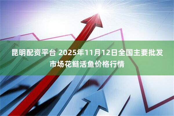 昆明配资平台 2025年11月12日全国主要批发市场花鲢活鱼价格行情