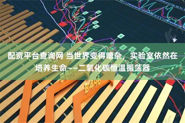 配资平台查询网 当世界变得嘈杂，实验室依然在培养生命——二氧化碳恒温振荡器