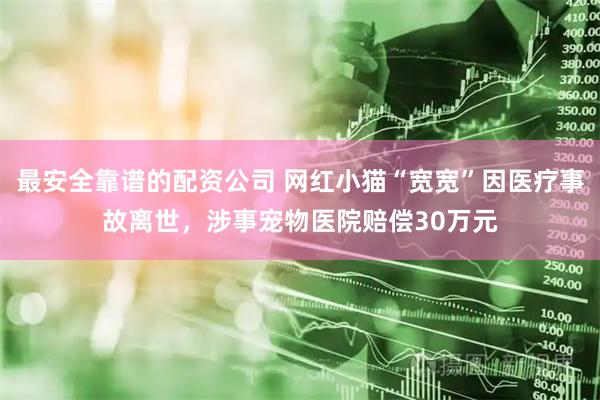 最安全靠谱的配资公司 网红小猫“宽宽”因医疗事故离世，涉事宠物医院赔偿30万元